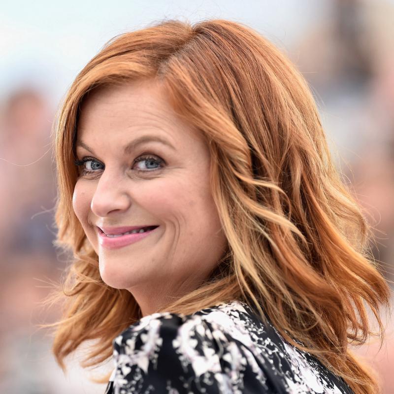 Actress Amy Poehler